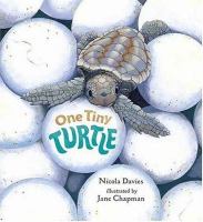 One tiny turtle - Cover Art