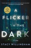 A flicker in the dark : a novel - Cover Art