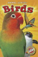 Birds - Cover Art