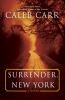 Go to record Surrender, New York : a novel