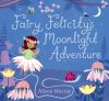 Go to record Fairy Felicity's moonlight adventure