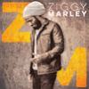 Go to record Ziggy Marley.