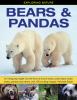 Go to record Bears & pandas : an intriguing insight into the lives of b...
