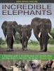 Go to record Incredible elephants : a fascinating guide to the gentle g...
