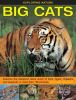 Go to record Big cats : examine the fearsome feline world of lions, tig...
