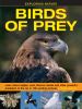 Go to record Birds of prey : learn about eagles, owls, falcons, hawks a...