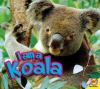 Go to record I am a koala