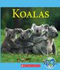 Go to record Koalas