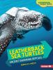 Go to record Leatherback sea turtles : ancient swimming reptiles