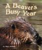 Go to record The beavers' busy year
