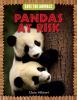 Go to record Pandas at risk