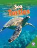 Go to record Sea turtles