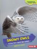 Go to record Snowy owls : stealthy hunting birds
