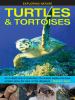 Go to record Turtles & tortoises : an in-depth look at chelonians, the ...