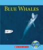 Go to record Blue whales