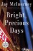 Go to record Bright, precious days : a novel