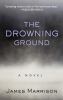 Go to record The drowning ground