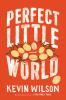 Go to record Perfect little world : a novel