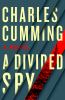 Go to record A divided spy : a novel