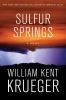 Go to record Sulfur Springs : a novel