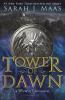 Go to record Tower of dawn
