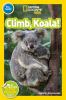 Go to record Climb, koala!