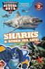 Go to record Training Academy : sharks & other sea life!