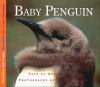 Go to record Baby penguin