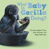 Go to record What is baby gorilla doing?