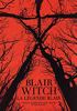 Go to record Blair witch