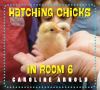 Go to record Hatching chicks in room 6