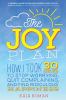 Go to record The joy plan : how I took 30 days to stop worrying, quit c...