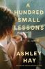 Go to record A hundred small lessons : a novel