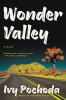 Go to record Wonder valley : a novel