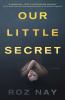 Go to record Our little secret : a novel