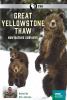 Go to record Great Yellowstone thaw