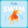 Go to record Fish swim