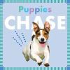 Go to record Puppies chase