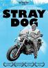 Go to record Stray dog