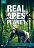 Go to record Real apes of the planet