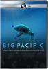 Go to record PBS. Big Pacific.
