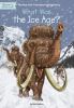Go to record What was the Ice Age?