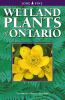 Go to record Wetland plants of Ontario