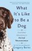 Go to record What it's like to be a dog : and other adventures in anima...