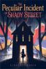 Go to record The peculiar incident on Shady Street