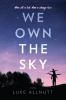 Go to record We own the sky : a novel