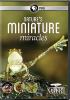 Go to record Nature's miniature miracles