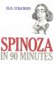 Go to record Spinoza in 90 minutes