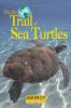 Go to record On the trail of sea turtles