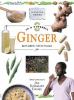 Go to record Ginger : zingiber officinale